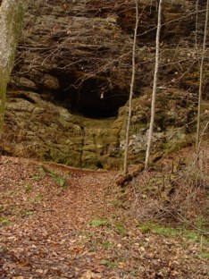 Canyon recess cave at Ash Cave 